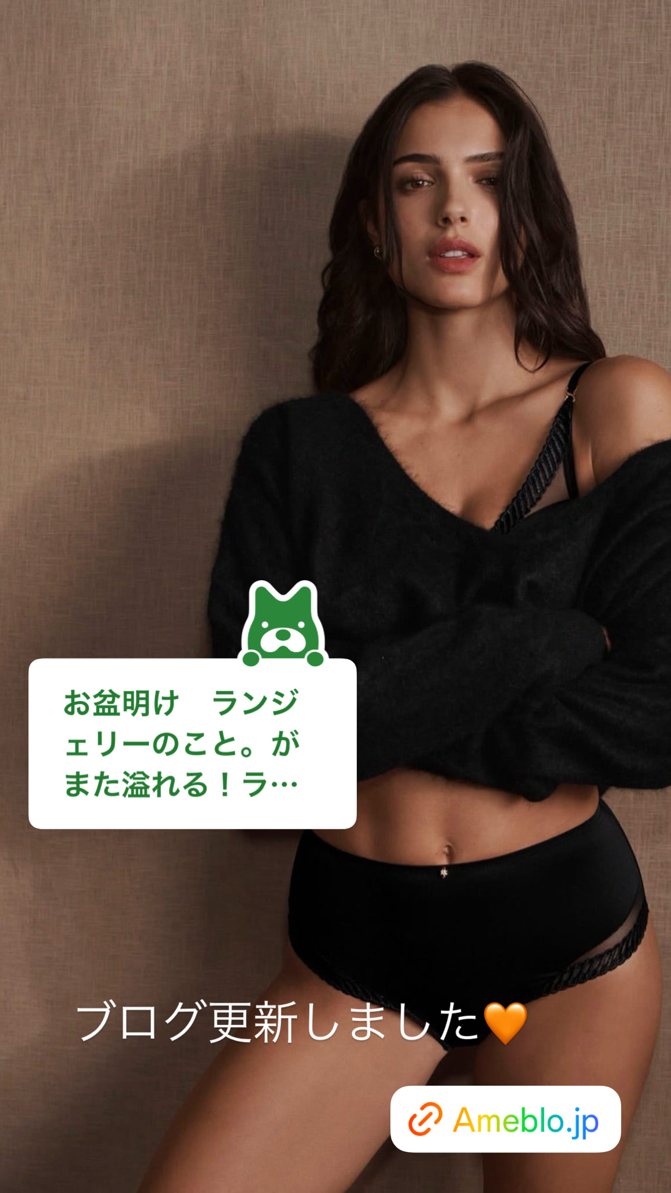 隠す美学 ランジェリー日記。【ブログ】ランジェリーワードローブ向上委員会