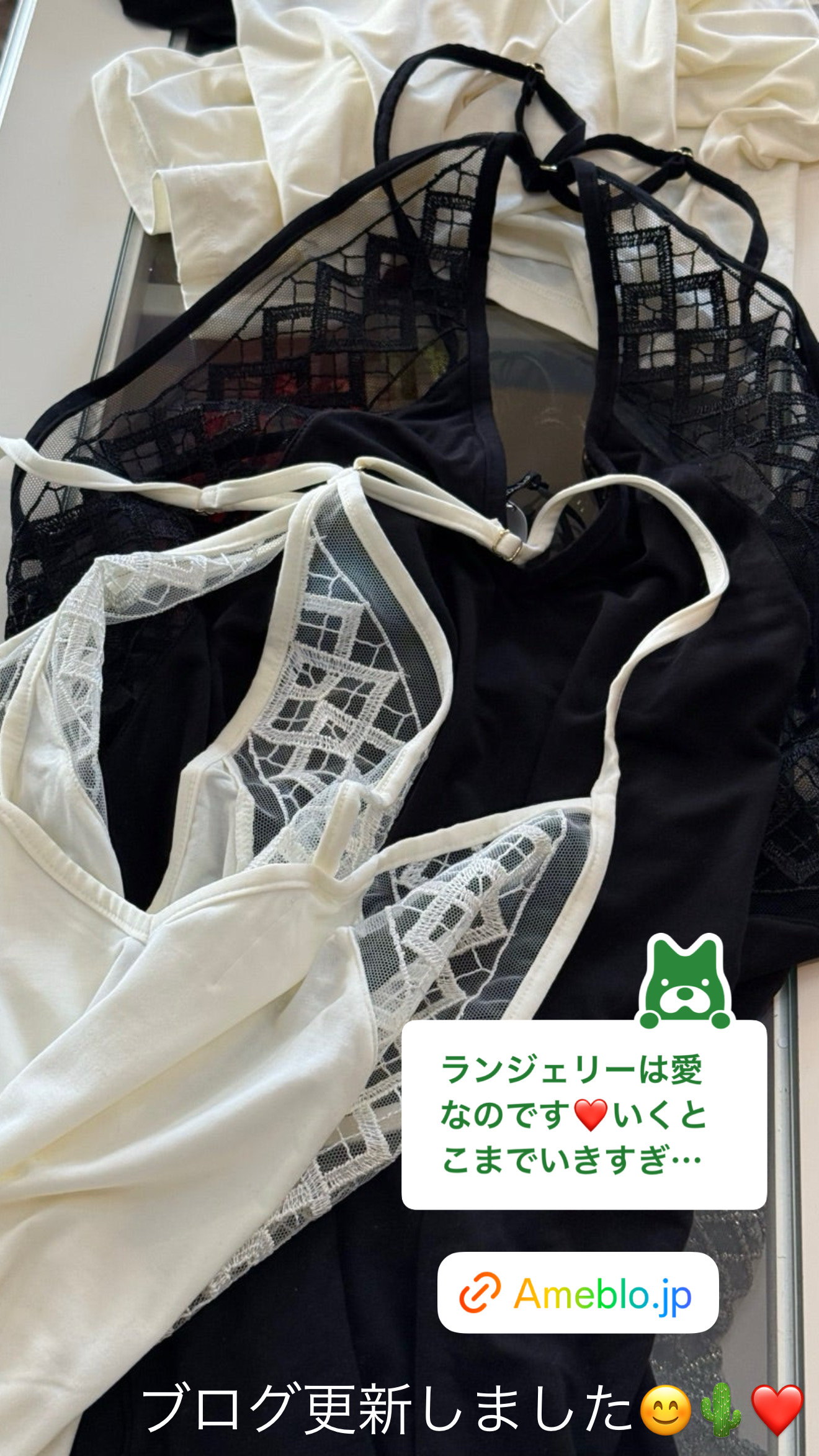 それは愛だった!ランジェリー【ブログ】更新しました♡
