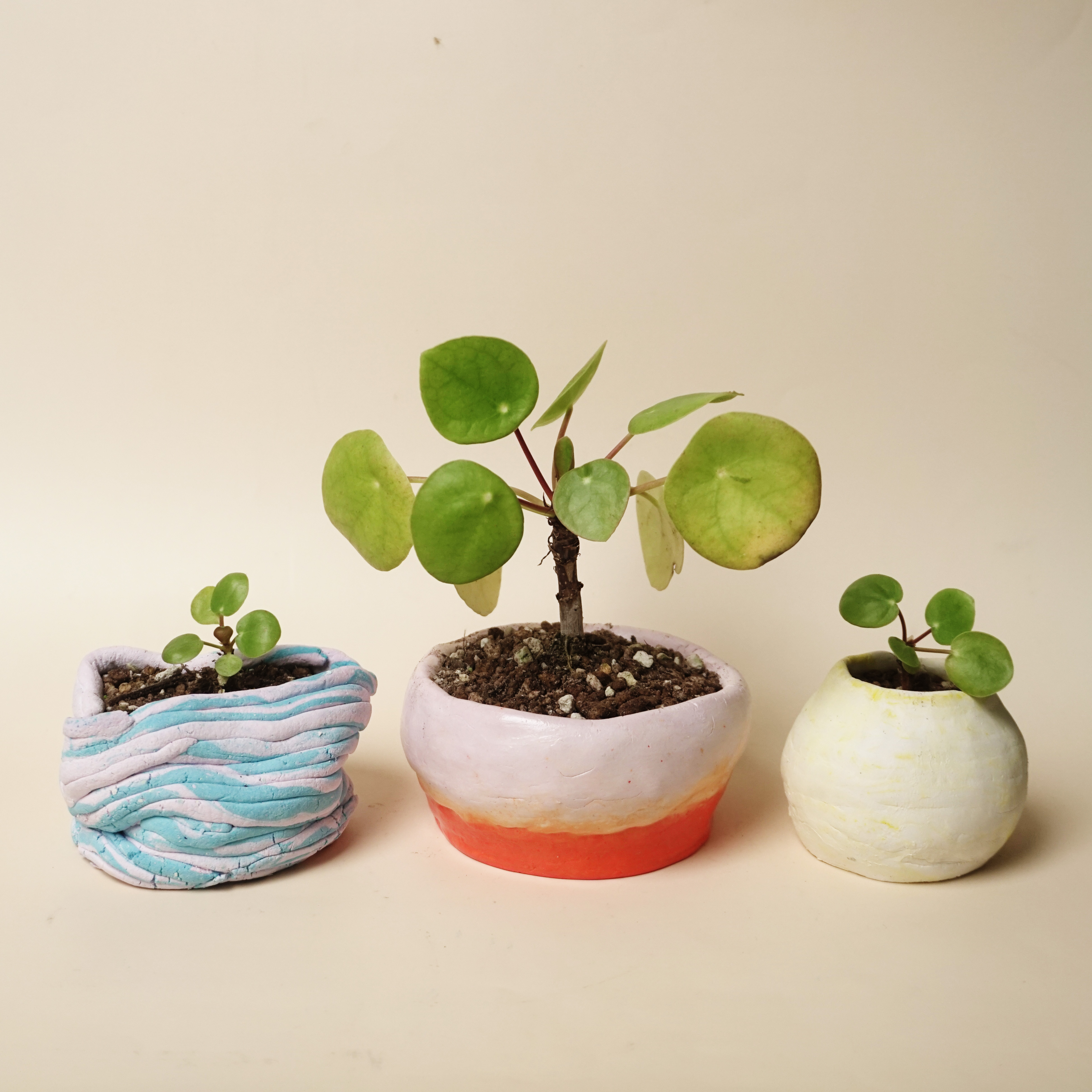 アイデアサンプルを更新：手びねりの植木鉢/hand-building pot