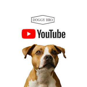 【愛犬家必見】ドッグショップであるDOGGY BRO.がプレゼンするYouTubeチャンネルが始まり