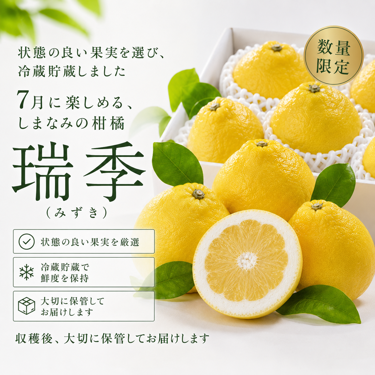 広島生まれの柑橘「瑞季」を育て、7月に届ける理由