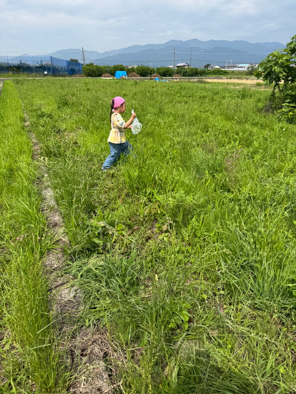 マエムキ大豆プロジェクト 6月編