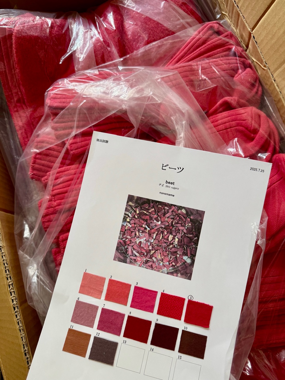 2025 nonomamaビーツ染め