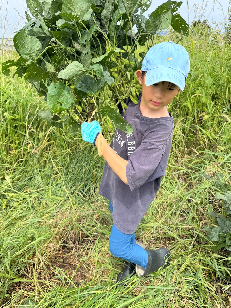 マエムキ大豆プロジェクト　9月編
