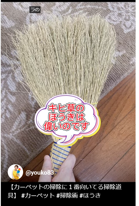 【カーペットの掃除に１番向いてる掃除道具】 #カーペット #掃除術 #ほうき