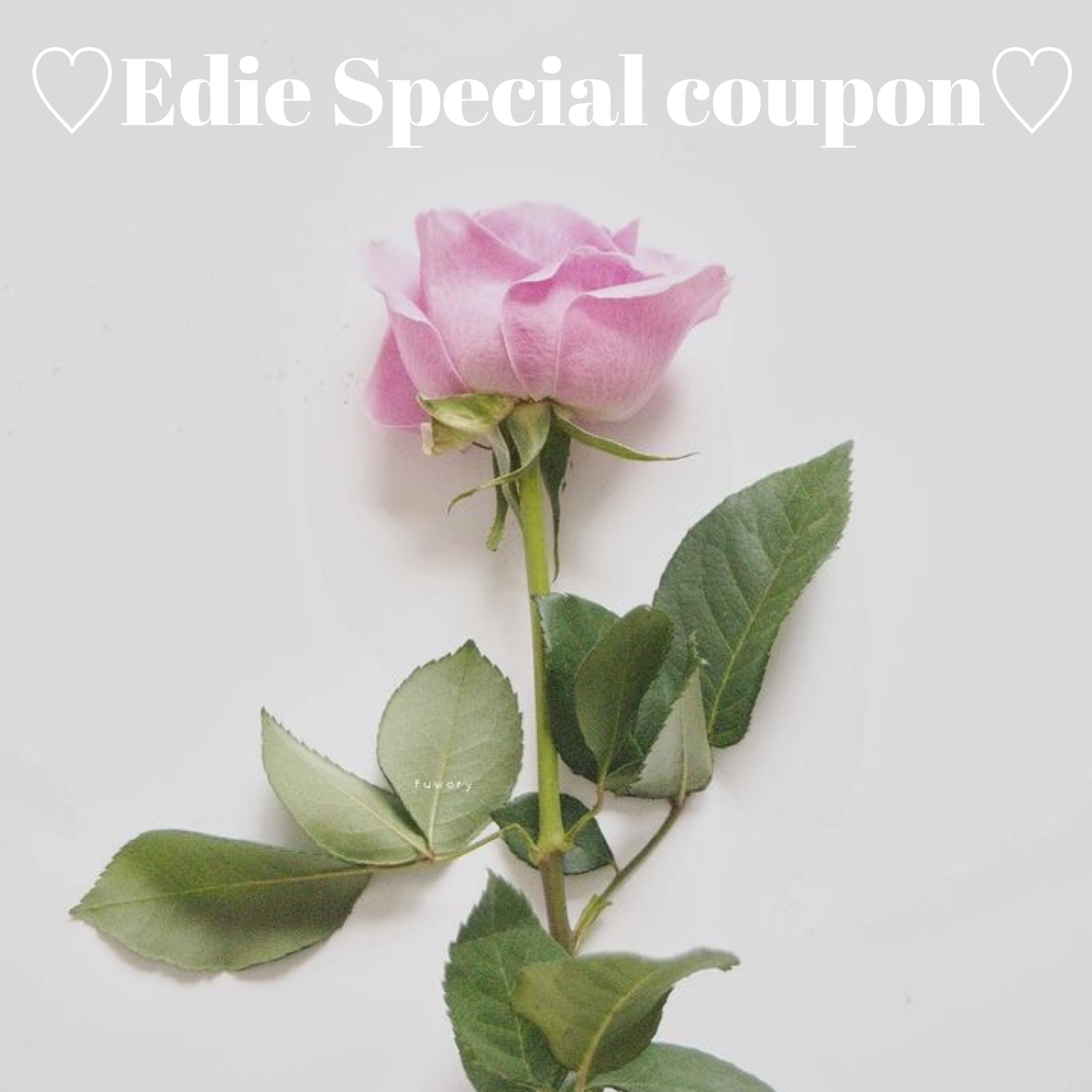 ☆Edie  Special  coupon☆