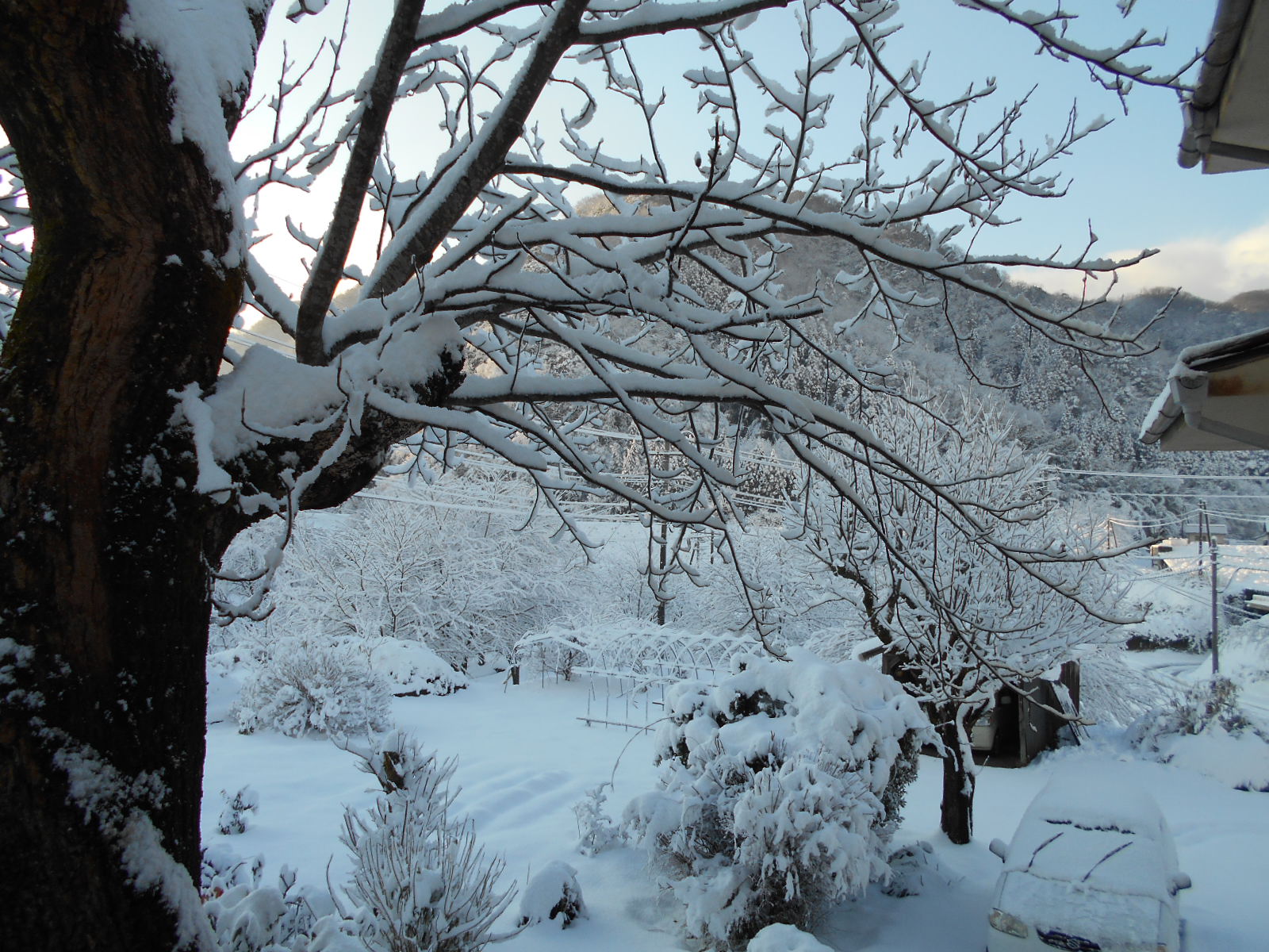 新年あけましておめでとうございます。1月に入って鹿賀の里ではきれいな雪景色です。