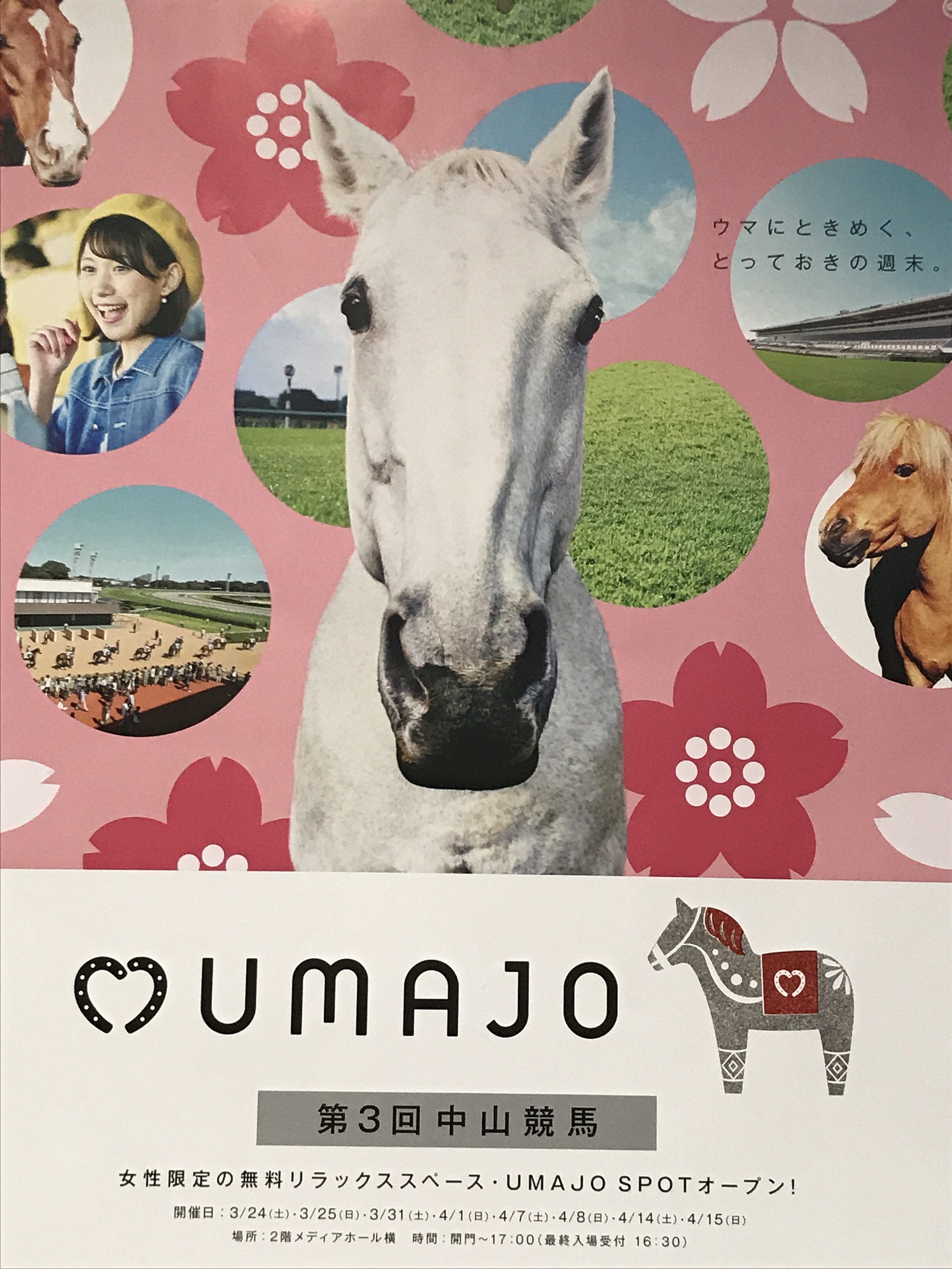 中山競馬場 UMAJO SPOTに行ってきました。