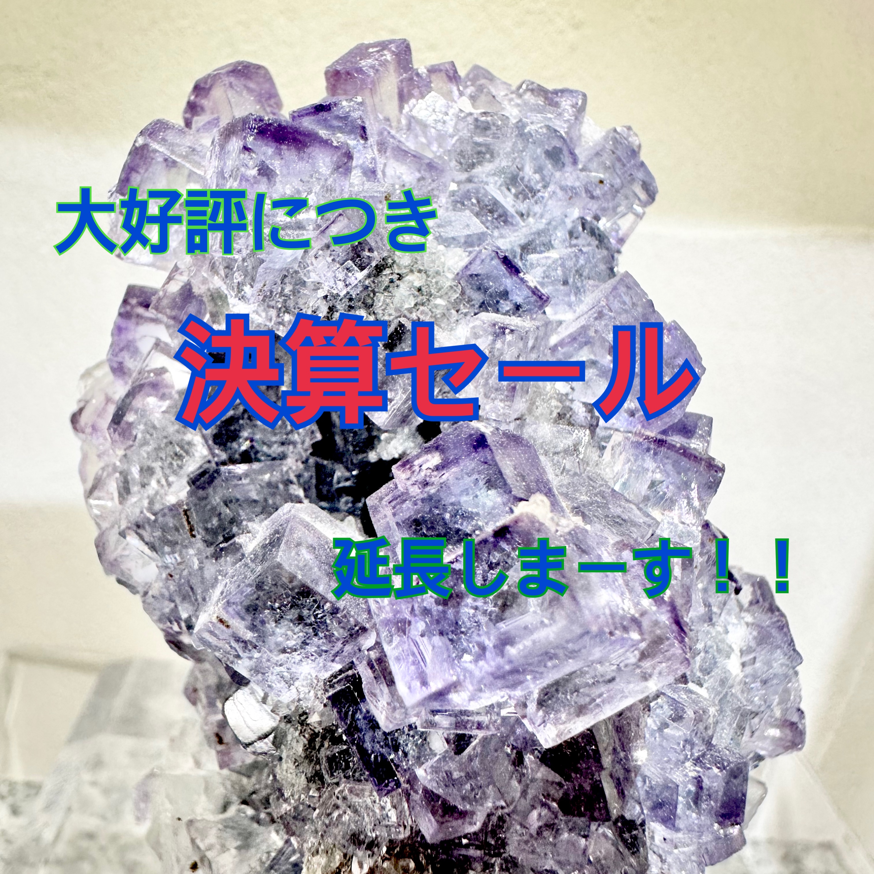 大好評につき“決算セール”を延長します♡