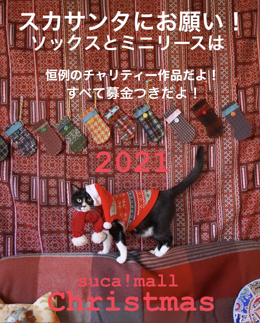 今年も！スカサンタにお願いソックスの季節が！やってきたよ〜〜〜！