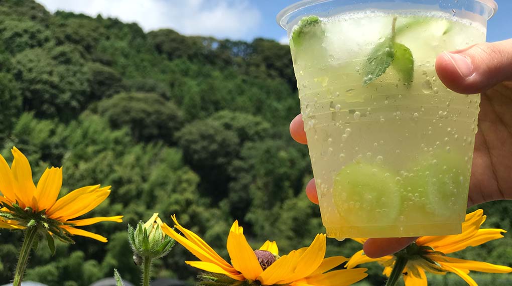 【8月のlana cafe】オープン日のお知らせ