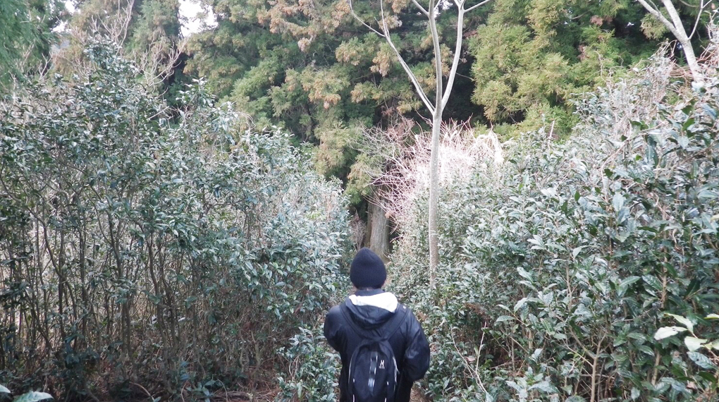 【ウール】の帽子がアウトドアに具合が良い。と評判なので、実際に被って山に登ってきました。