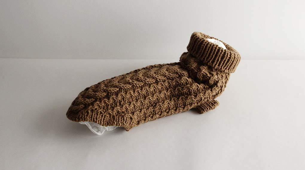 AND WOOLのワンちゃんへのご提案　その３