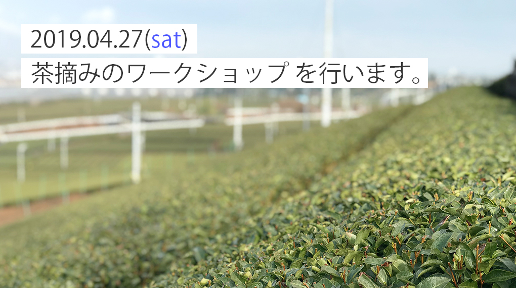 【4月27日（土）】茶摘みのワークショップを行います。