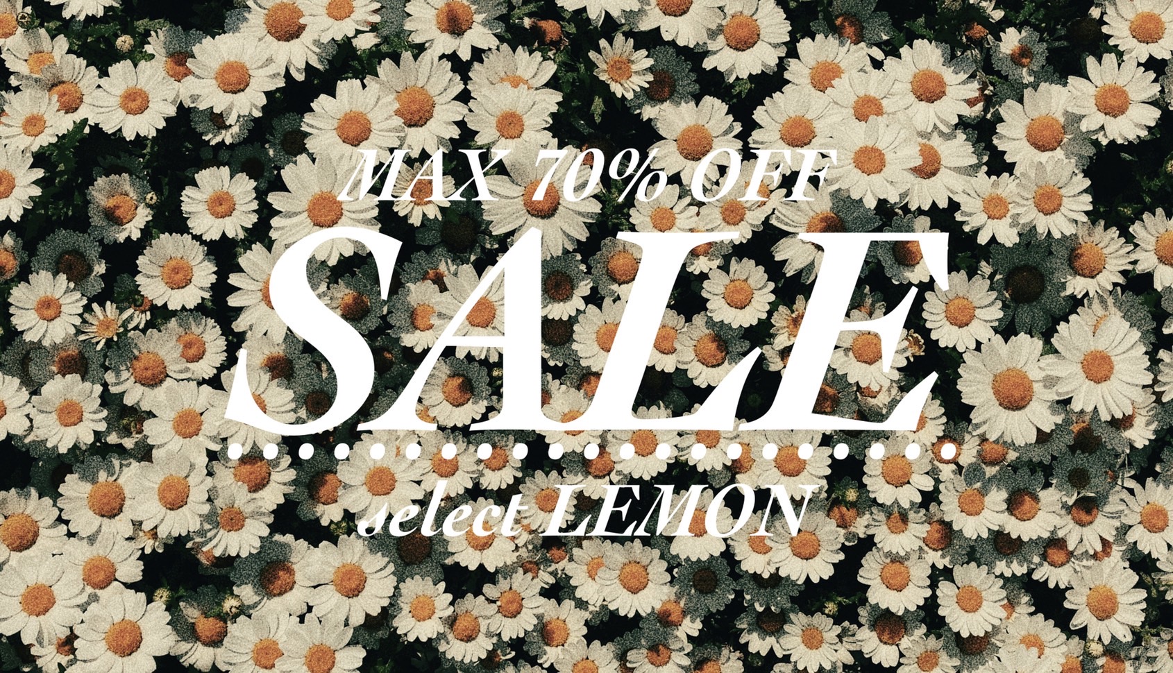 SALE開催