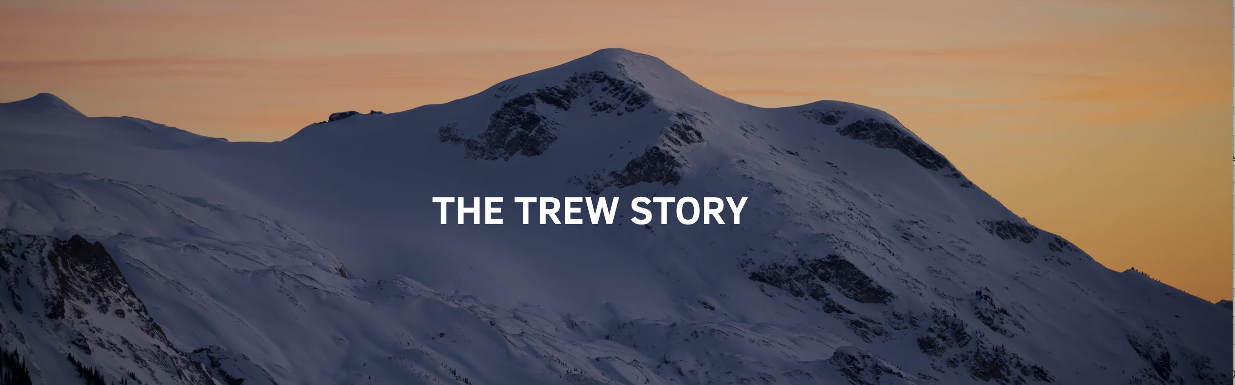 THE TREW ストーリー
