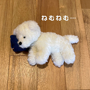 2025/11/15-16デザフェス62に出展します！