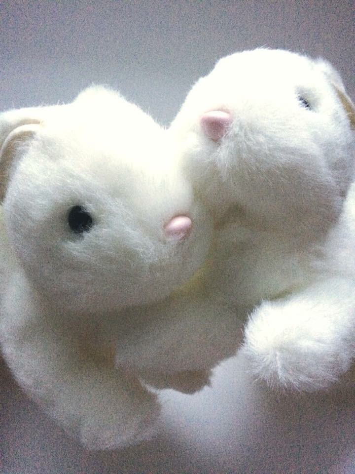 冬だ！ぬいぐるみだ！もふもふ〜ふわふわ〜癒される〜商品ページへ！