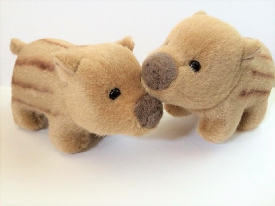 うり坊、全員旅立ちました！うり坊のぬいぐるみ、完売です！入荷したらお知らせします～♪