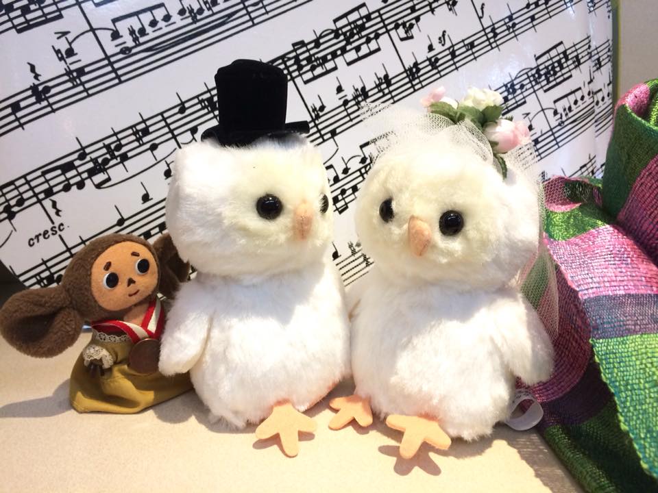 ぬいぐるみ好きによる、ぬいぐるみ好きの為のお得情報！