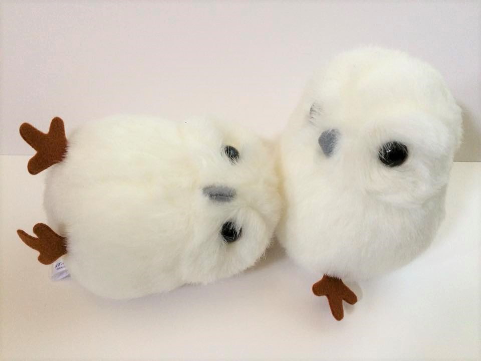 もふもふ、ふわふわ～埋もれたい・・・癒される白フクロウぬいぐるみ。発売中！