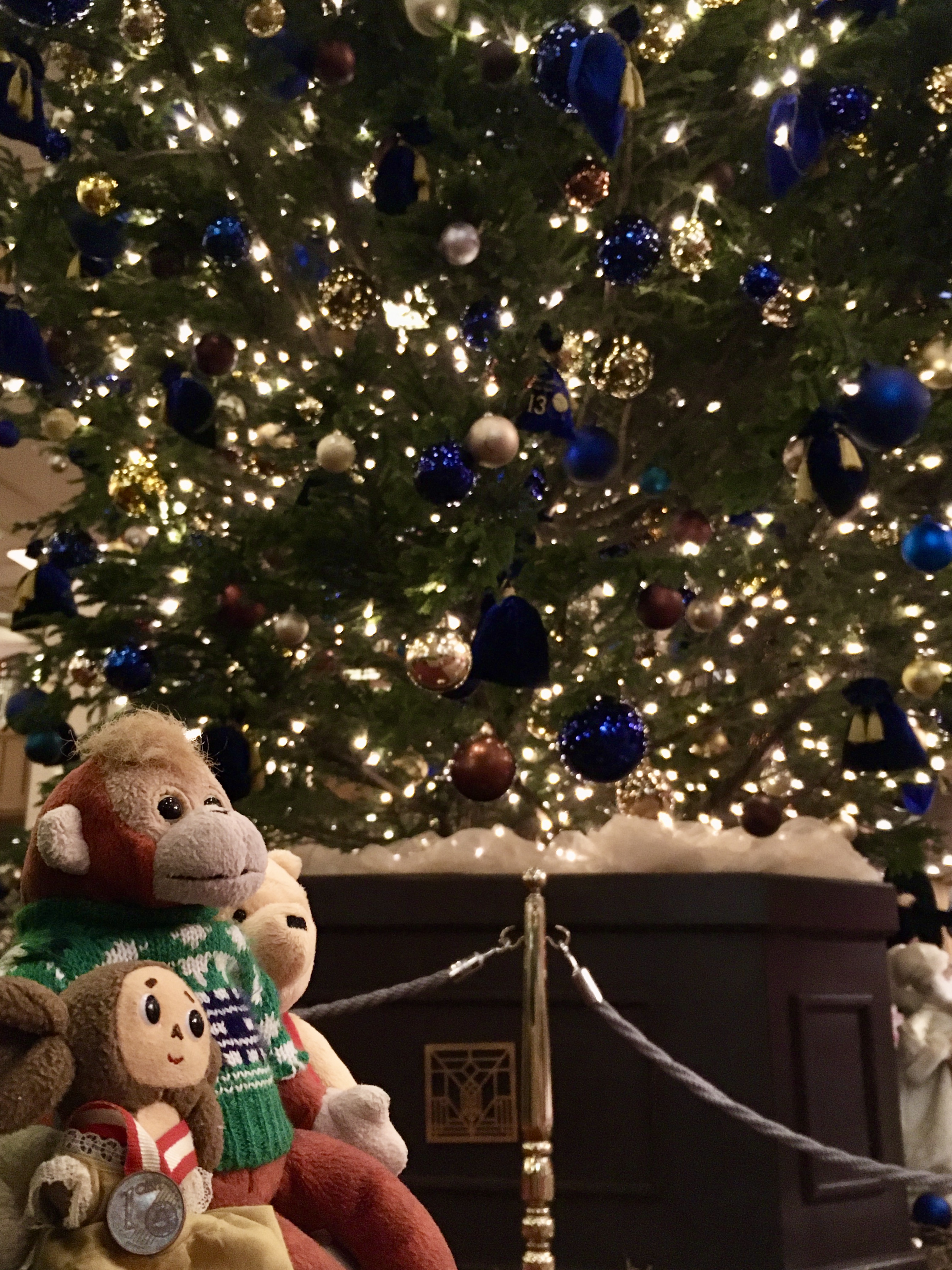 Merry Christmas & 今年最後のご挨拶