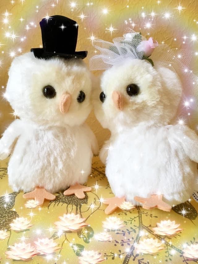 幸せオーラいっぱい☆純白のシロフクロウのぬいぐるみ、お家に迎えて下さい★