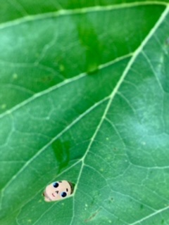 ぬいぐるみのための窓？！窓も色々あるよ☆