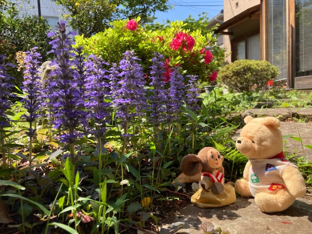 ぬいぐるみの庭★秘密の花園☆