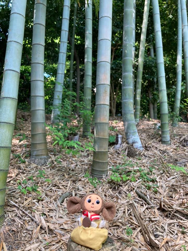 ぬいぐるみと一緒に涼む、都会の癒しスポット☆