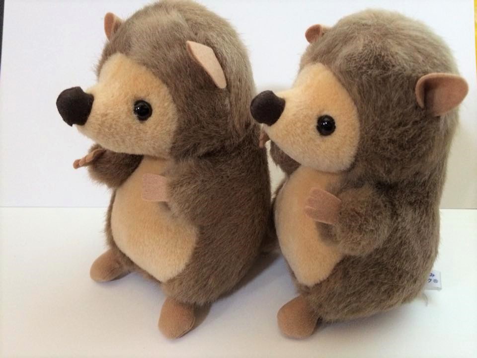 悩んだら、自然を見て、ぬいぐるみに話しかけてみて☆落ち着くよ～