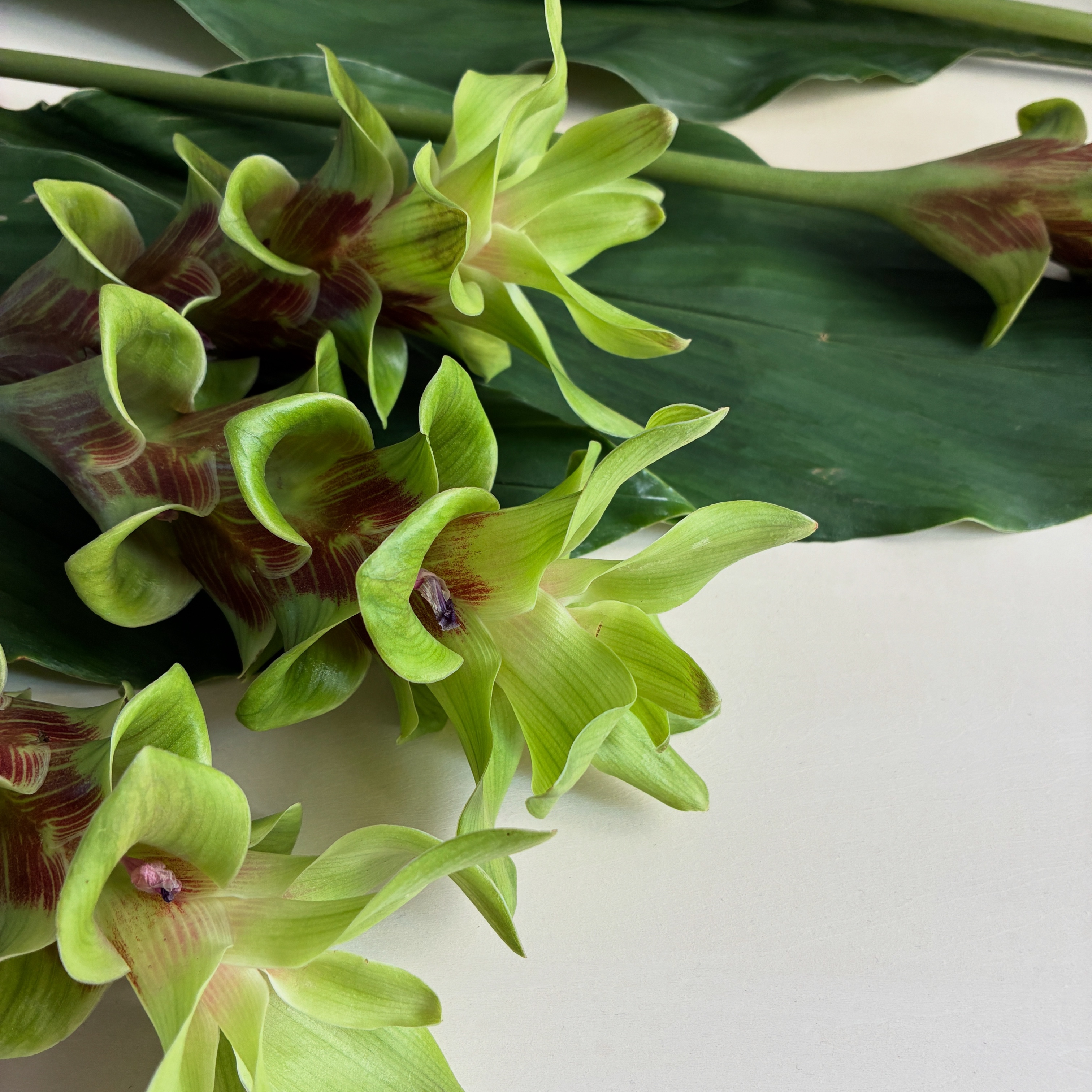 ☆POP UP SHOPお越しいただきましてありがとうございました!☆