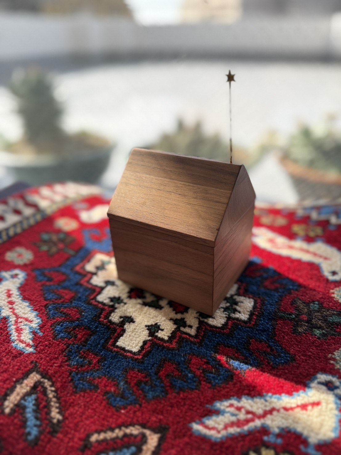 日向ぼっこをしているようです。