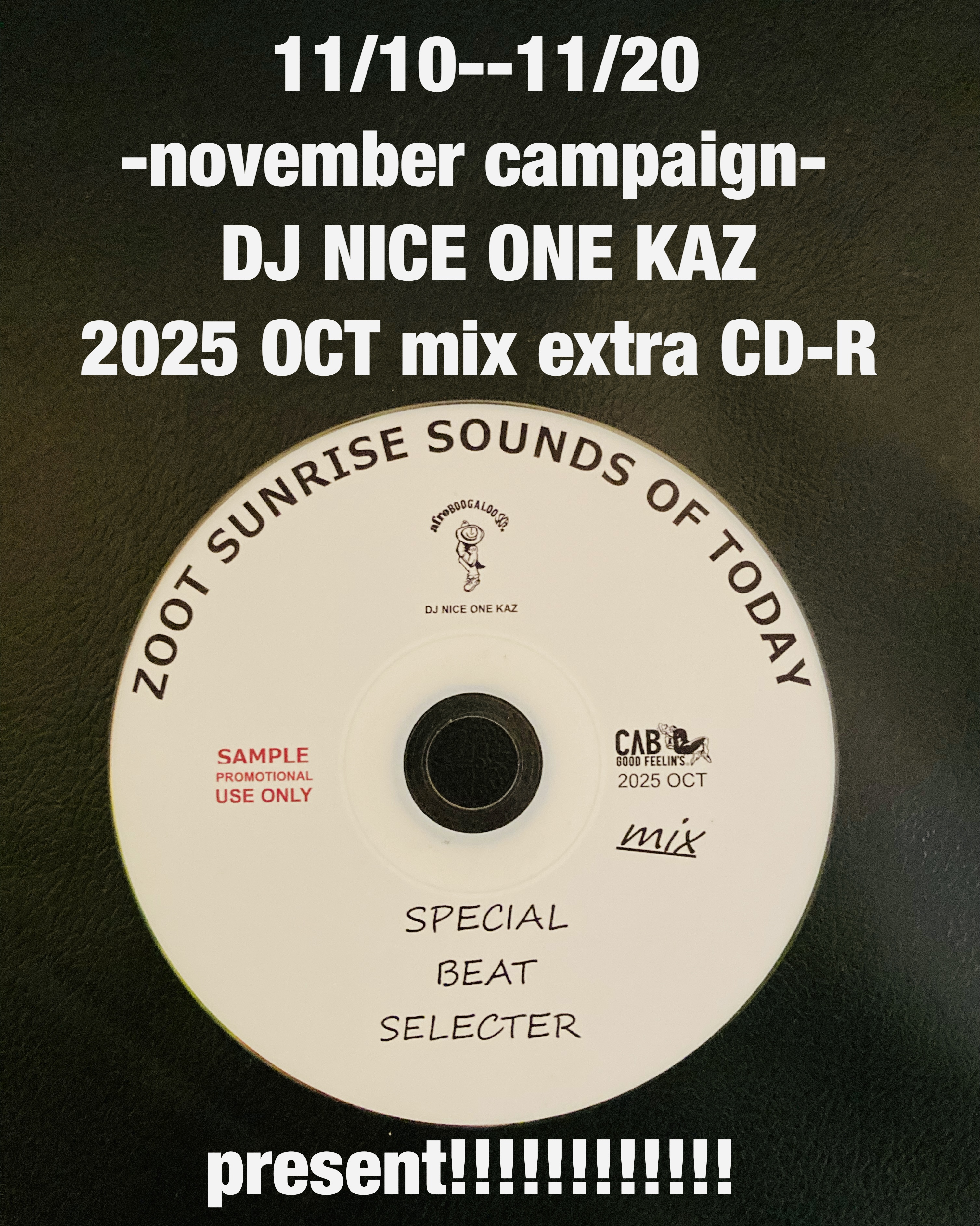 11/10--11/20 -november campaign-