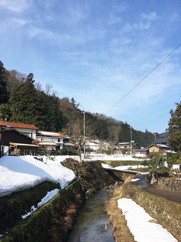 ●だんだん春に近づいてきました☆