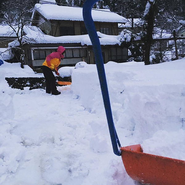●連日除雪