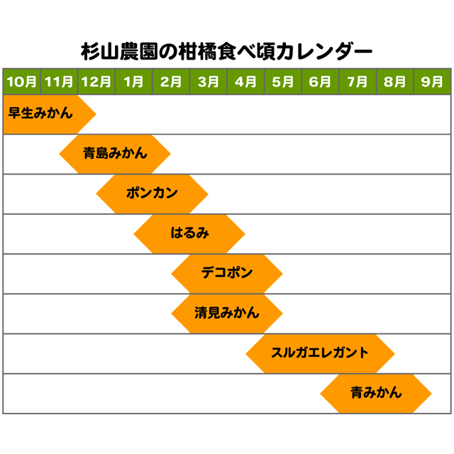 ポンカン販売終了しました。
