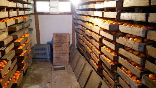 我慢の時です(笑)