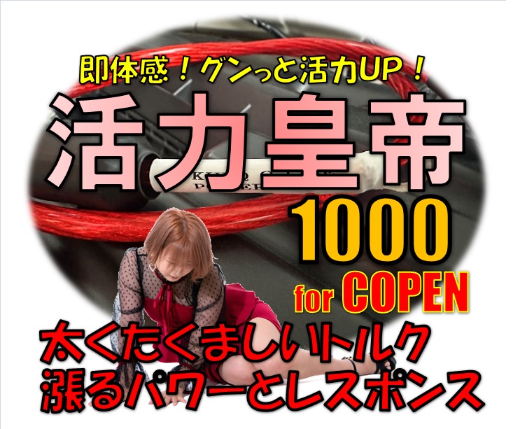 お待たせ致しましたm(__)m