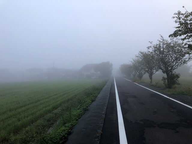怒涛の装着ラッシュ！？