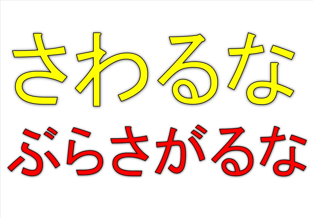 あ・・・生きてます。(´∀｀)