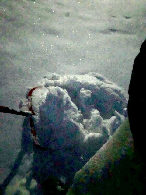 筑波山の麓も豪雪でした。