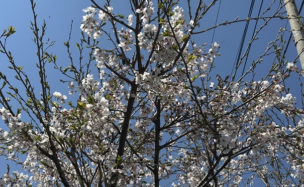 【緊急】業者さんも驚いていた現実