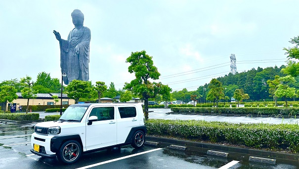 初参加でした