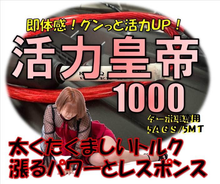 もうチェックされましたでしょうか？