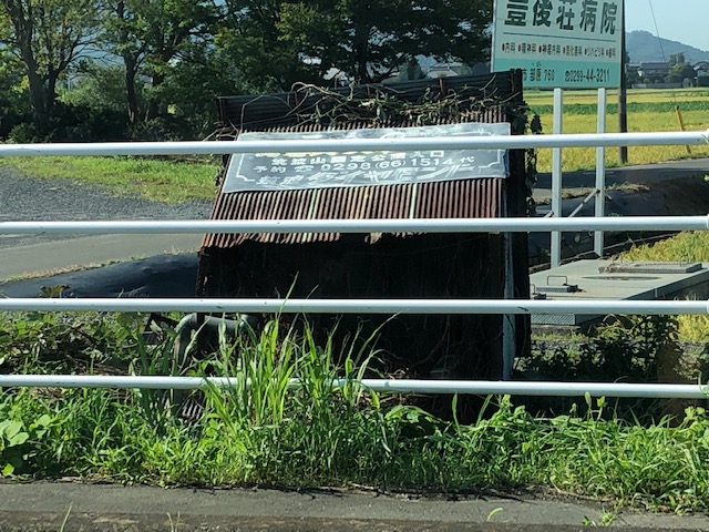 大丈夫でしょうか？
