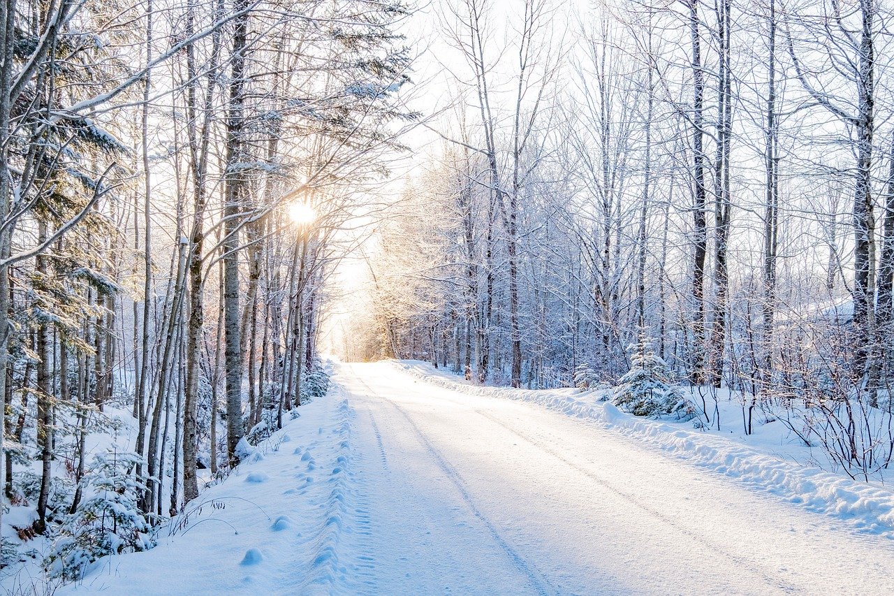 ２０２６年１月のご案内　遥か昔から人類が待望していた永遠に価値ある賜物を得るために