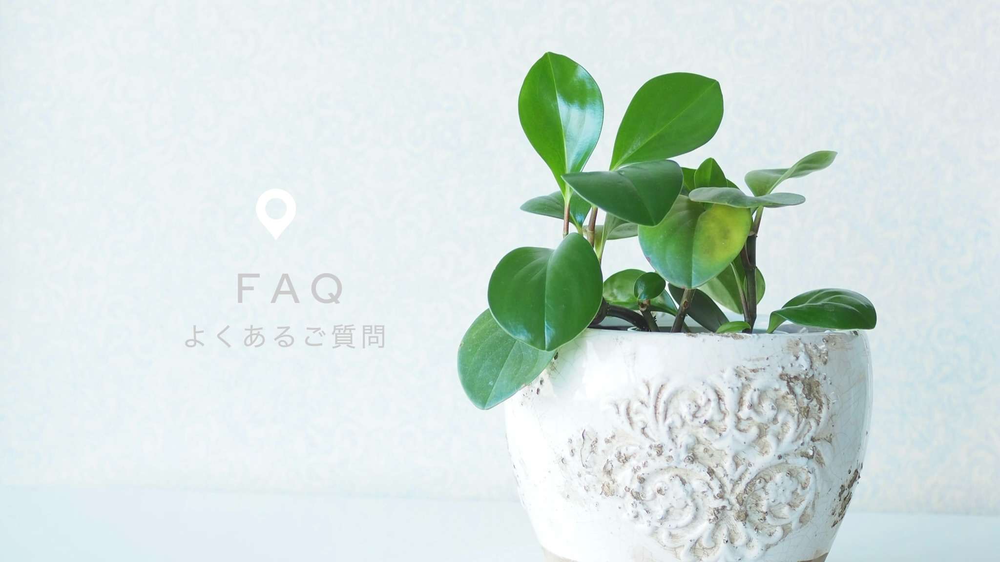 FAQ(よくあるご質問)