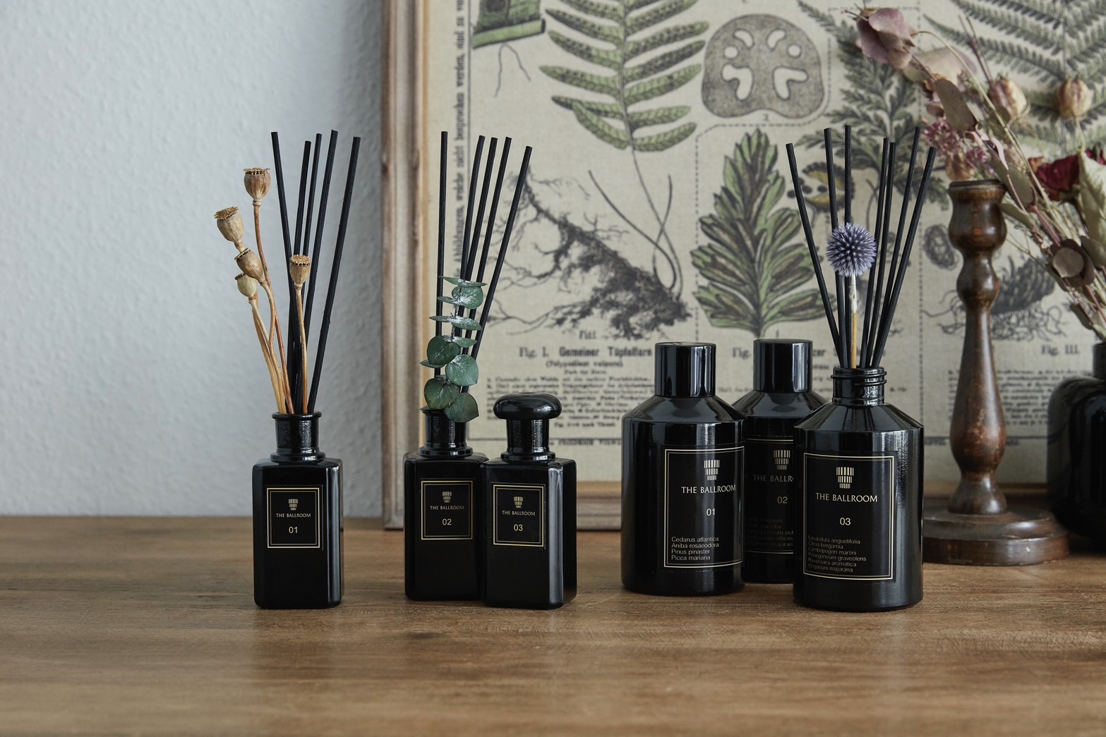 【10周年記念】感謝を込めて。全品10%OFFキャンペーンのお知らせ