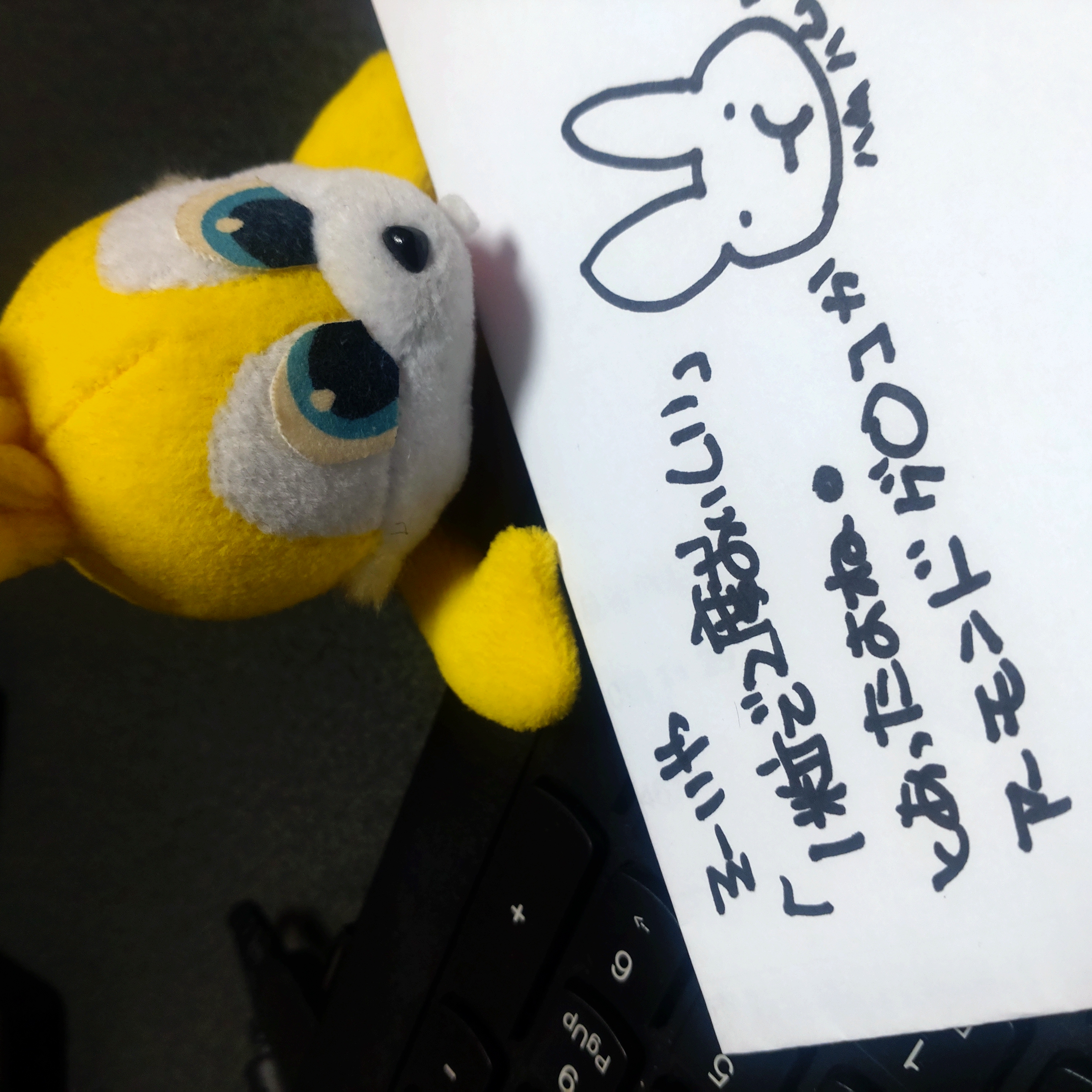 先行予告の8月は1月で2度おいしい？！【Dashブログ】